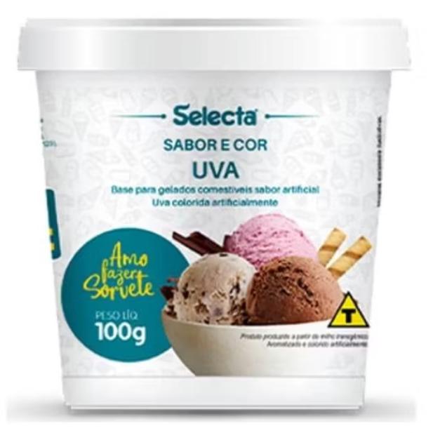 PREPARO P/ SORVETE SELECTA UVA 100G