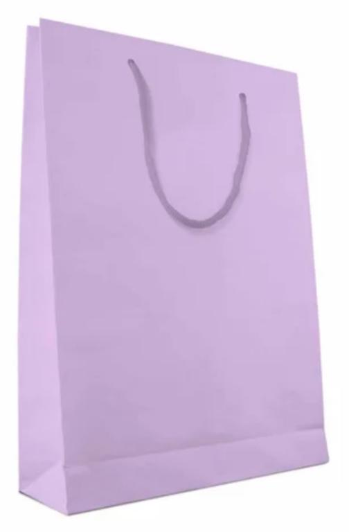 SACOLA PAPEL SURPRESA 18X22X9 LILAS C/10UN