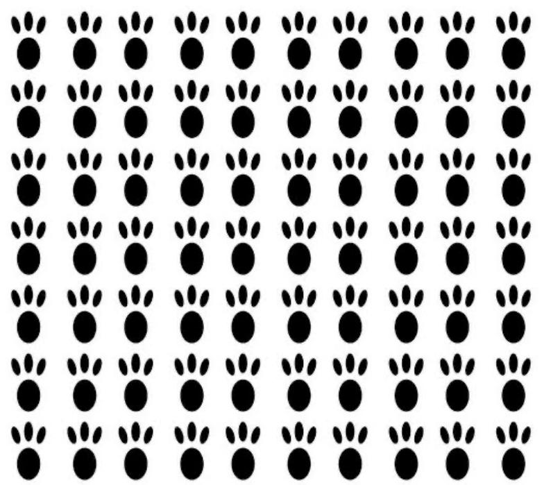 ADESIVO PATINHA COELHOS G MARROM C/16 PATINHAS