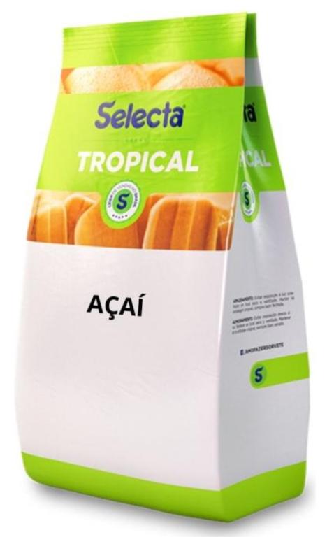 PREPARO ALGEMIX P/ SORVETE SELECTA ACAI 1KG