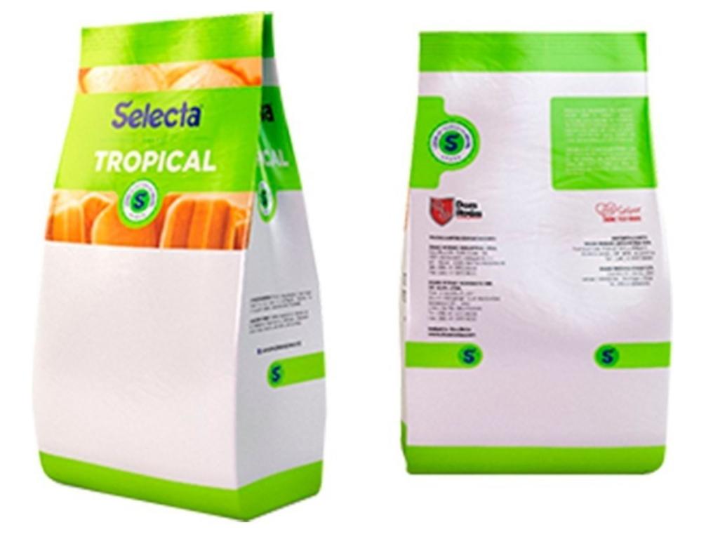 PREPARO P/ SORVETE SELECTA ACAI 100G