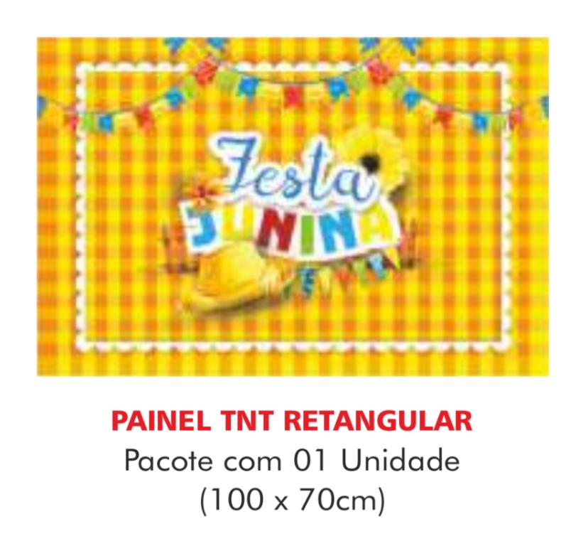 PAINEL TNT DUPLO RETANGULAR FESTA JUNINA 70X100CM