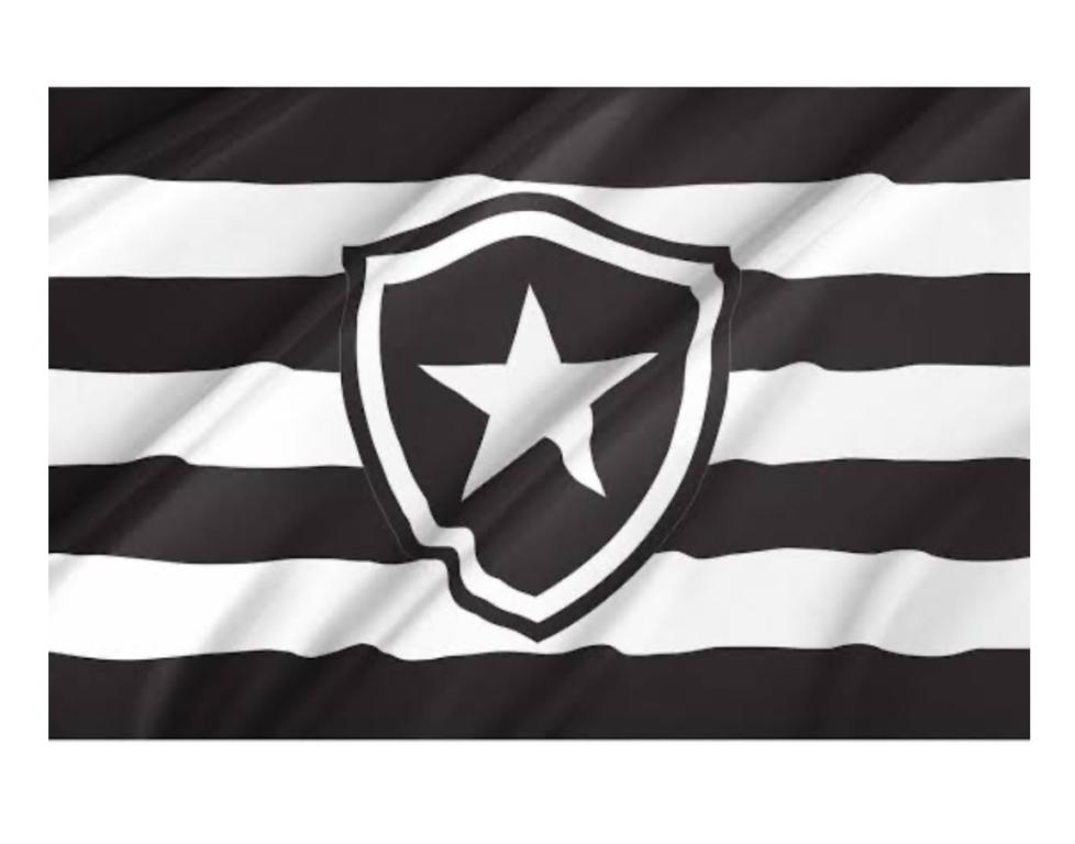 PAINEL TNT DUPLO RETANGULAR BOTAFOGO 70X100CM