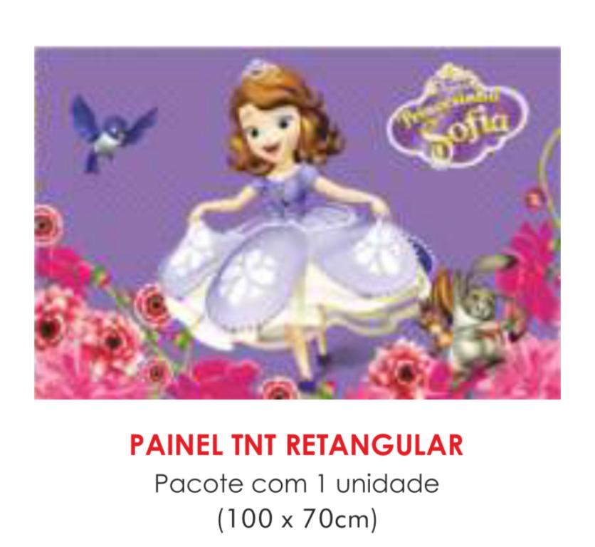 PAINEL TNT DUPLO RETANGULAR PRINCESINHA SOFIA 70X100CM