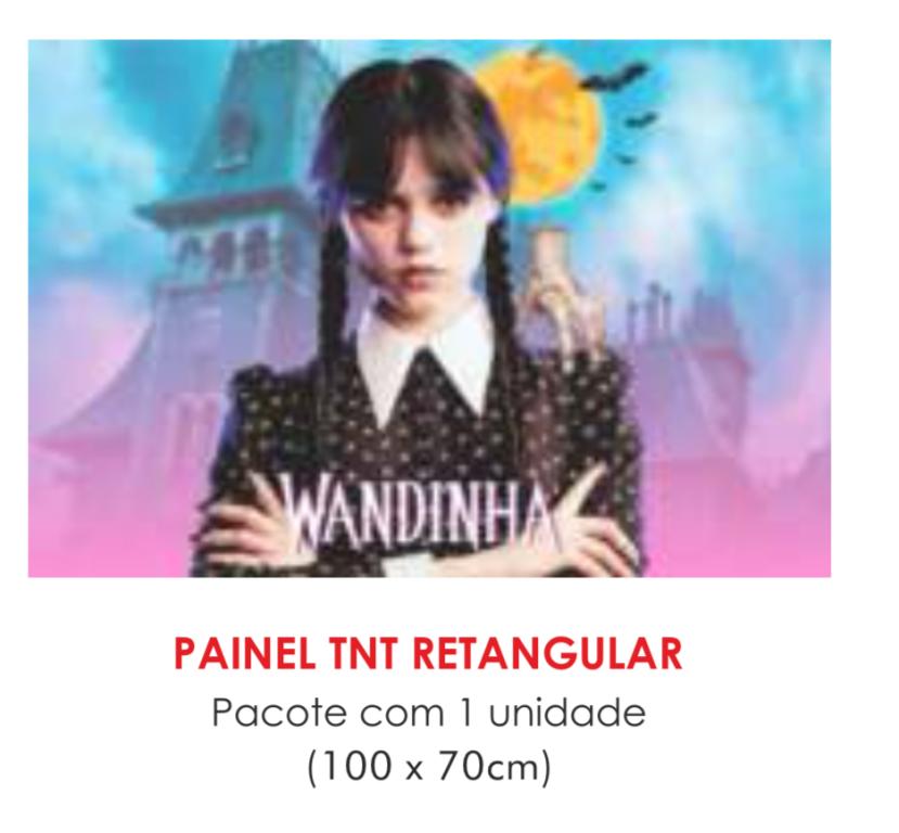 PAINEL TNT DUPLO RETANGULAR WANDINHA 70X100CM