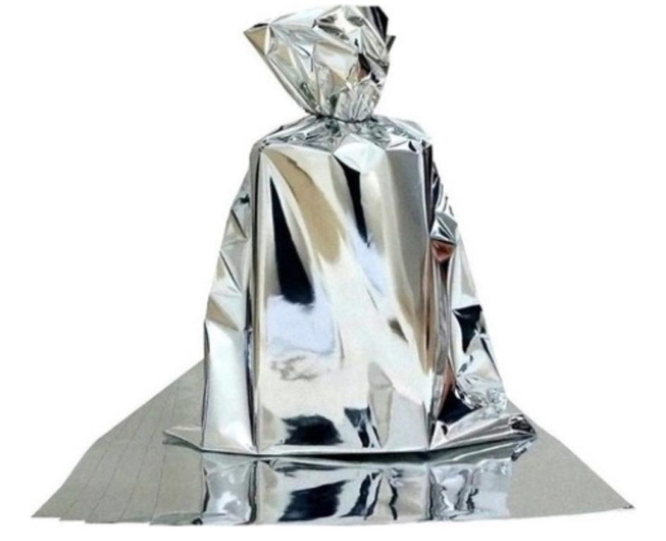SACO P/ PRESENTE METALIZADO PRATA 25X36 C/50UN