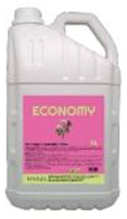 SABONETE LIQUIDO ECONOMY ERVA DOCE 5LT