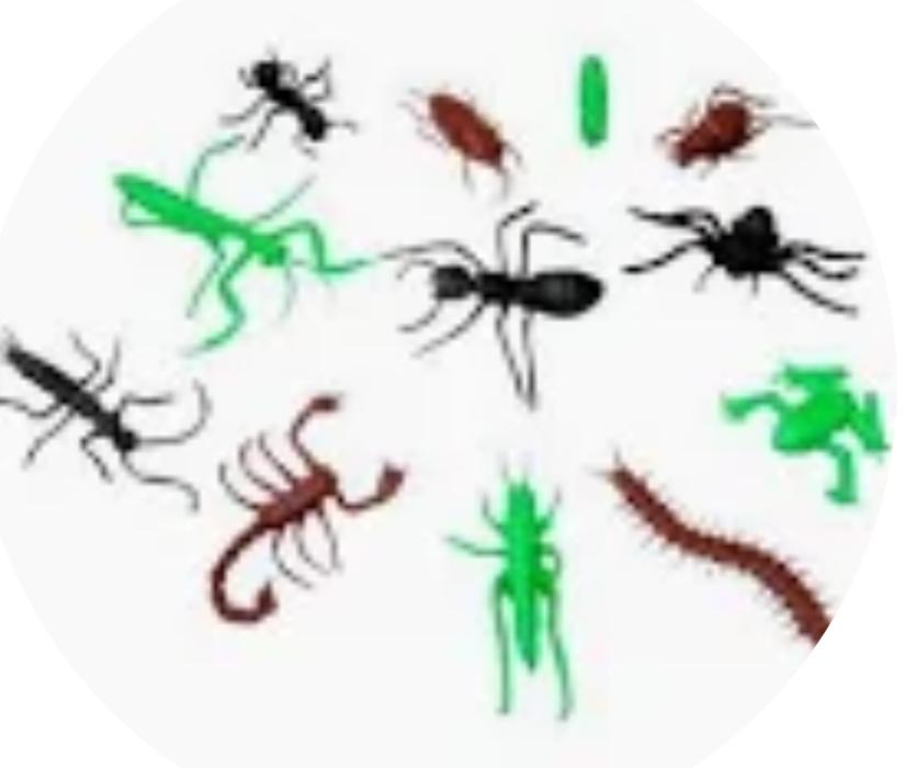 MINI BRINQUEDO INSETOS C/12UN