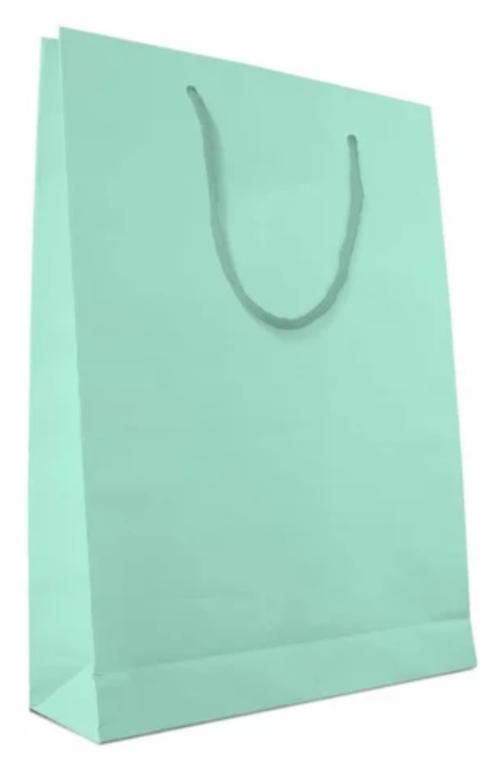 SACOLA PAPEL SURPRESA 18X22X9 TURQUESA C/10UN