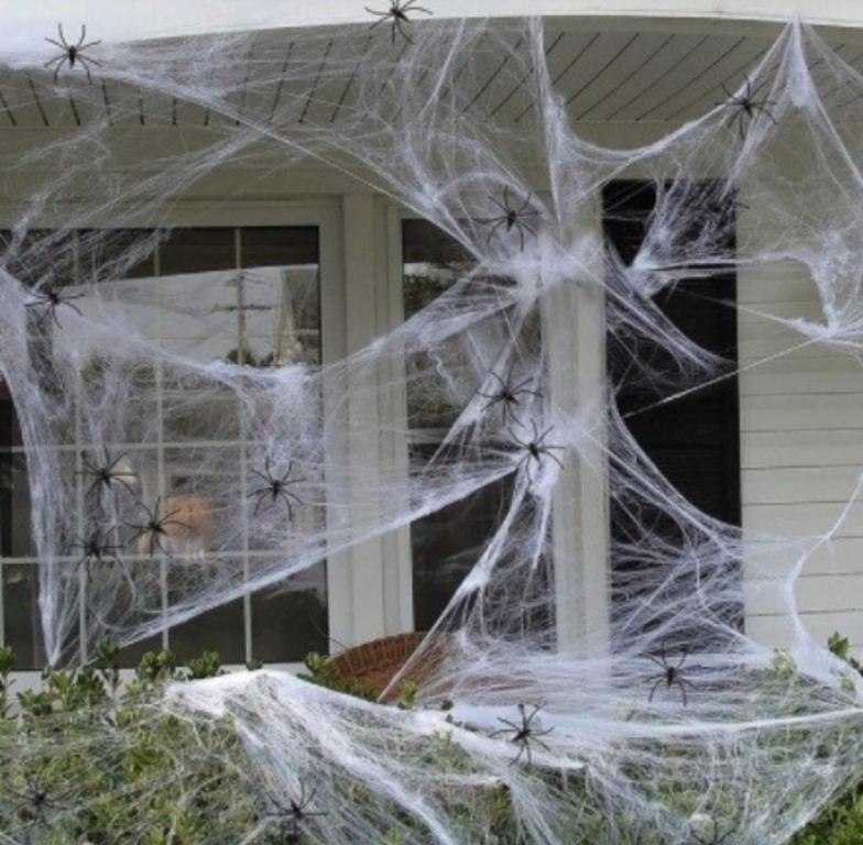 TEIA ARANHA BRANCA 20G