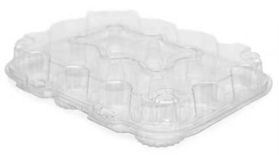 EMB. FIBRAFORM ART. P/ 12 DOCES C/ TAMPA UN