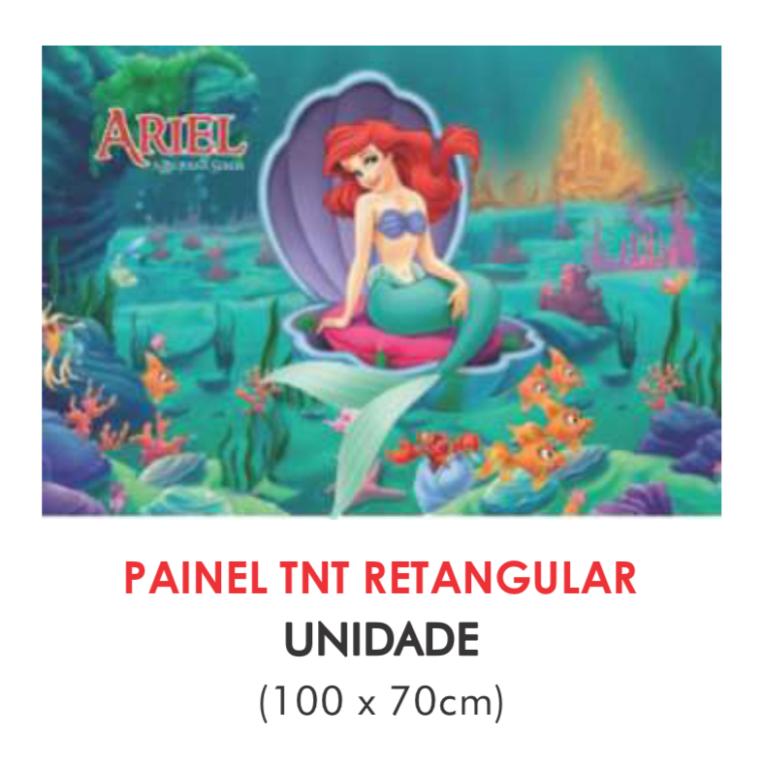PAINEL TNT DUPLO RETANGULAR ARIEL 70X100CM