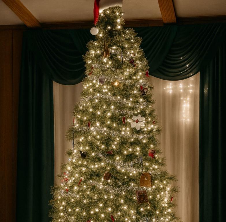 PISCA PISCA LED BRANCO QUENTE 110V 9MT C/100 LEDS