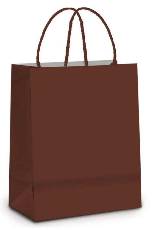 SACOLA PAPEL MARROM 22X16X5CM UN