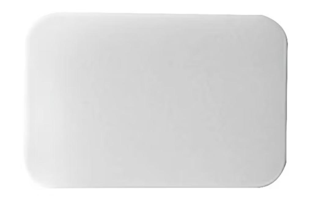 PRANCHA ISOPOR 02 21X14 C/20UN