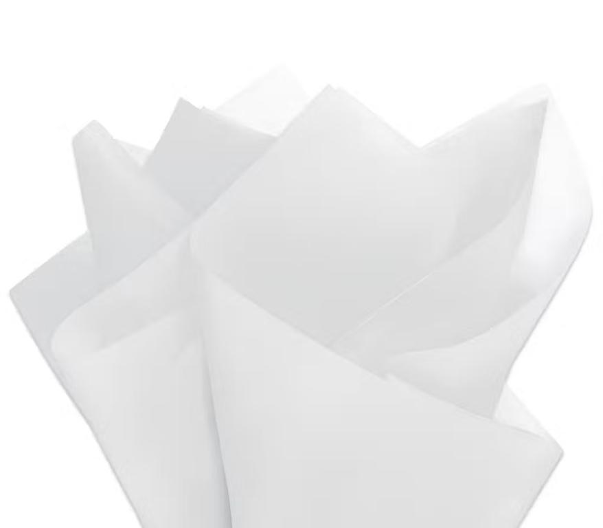 PAPEL SEDA BRANCO 48X60
