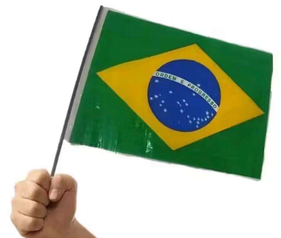 BANDEIRA PLAST. BRASIL 50X79CM