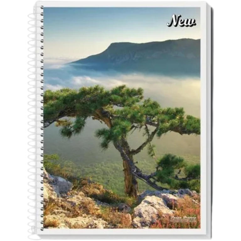 CADERNO PAUTA BRANCA EXPIRAL 1/4 FLEX 48 FOLHAS