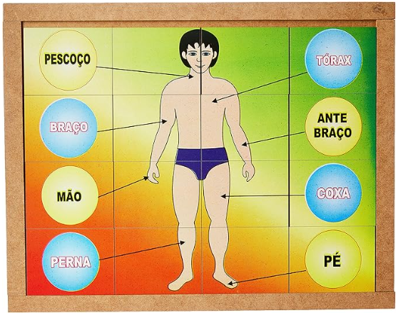QUEBRA CABECA CORPO HUMANO - MDF - 16 PECAS