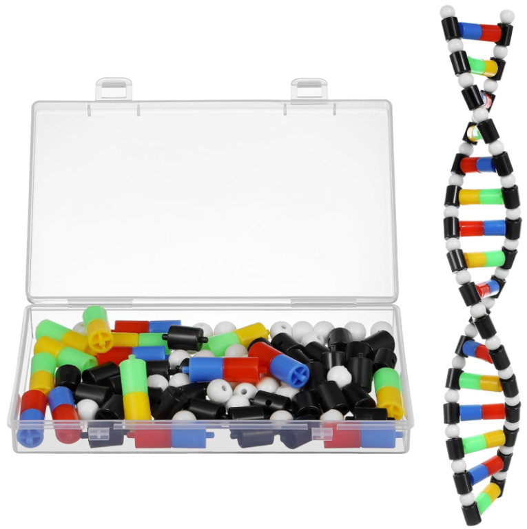 MODELO DE DNA ESTRUTURA DE DUPLA HELICE