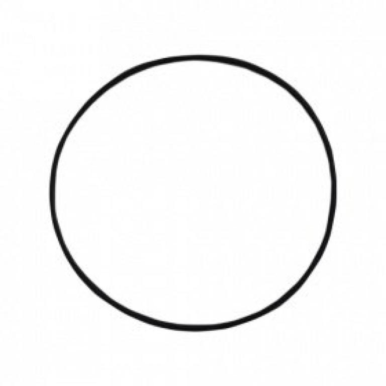 ANEL DE VEDAÇÃO DA BOMBA DE TRANSFERENCIA