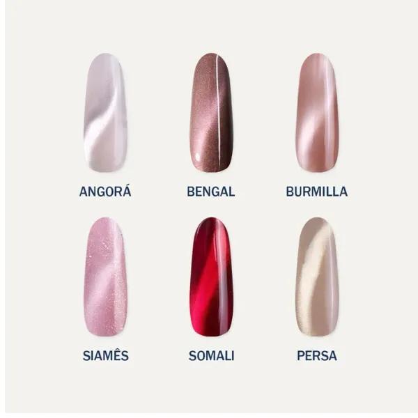 Bluwe Kit Cat Eye Collection