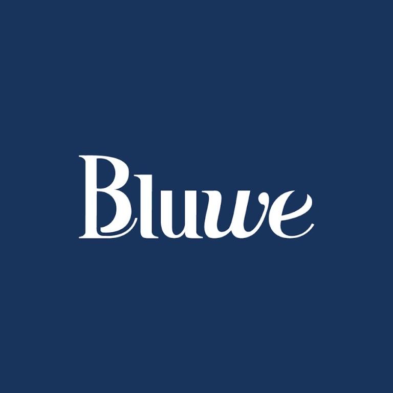 Bluwe Gel Construtor Shine 30gr Cor:Shine Delicado