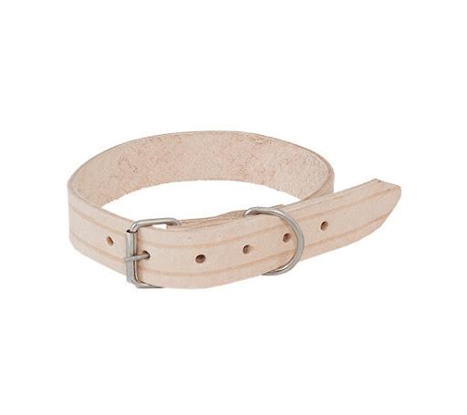 PT] COLEIRA CACHORRO N  6 UND