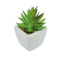 JD] ARRANJO ARTI.VASO CERAMICA SUCULENTA MIX