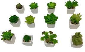 JD] ARRANJO ARTI.VASO CERAMICA SUCULENTA MIX