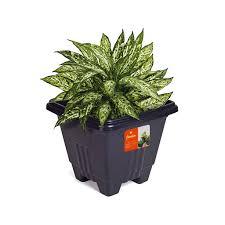 JD] VASO QUADRADO GRANDE 16,5L - PT