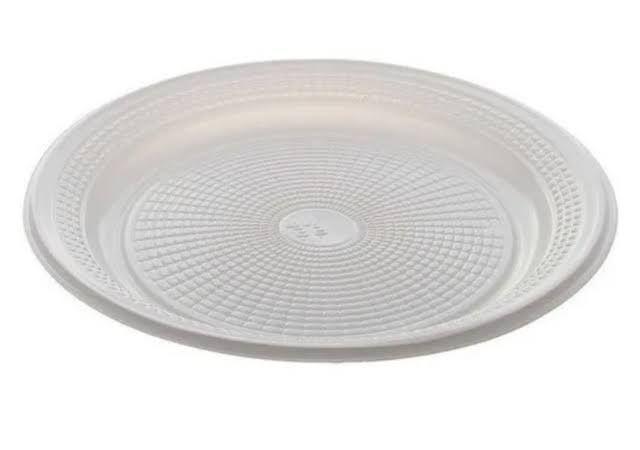 Prato Plástico 25 Cm 10 Unidades