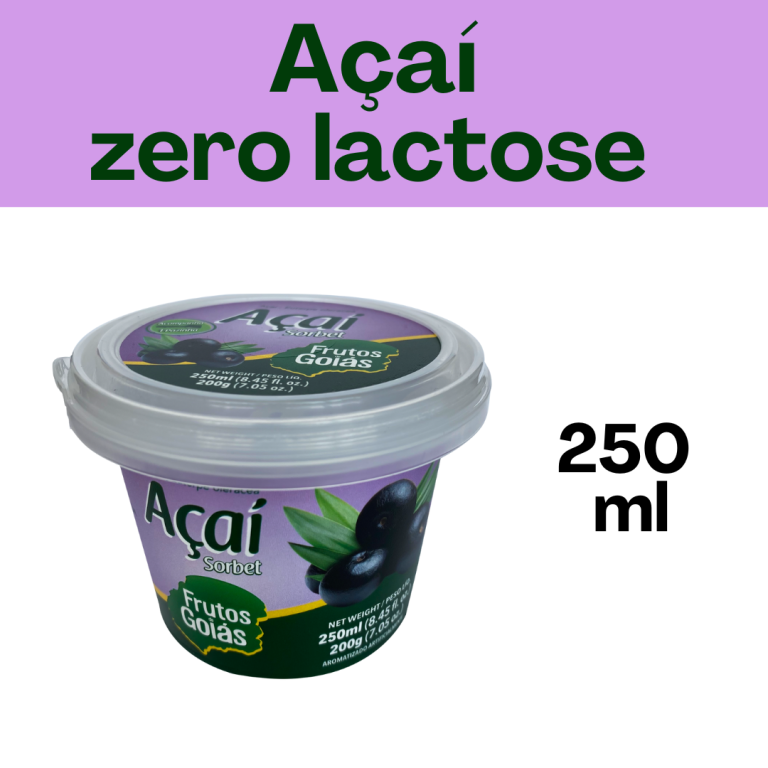 Z POTE AÇAÍ 250 ML -  ZERO LACTOSE