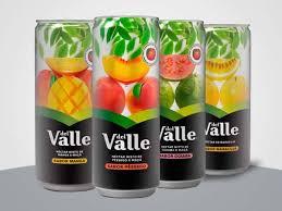 DEL VALLE LATA 290ML- PESSEGO,GOIABA,UVA OU MANGA
