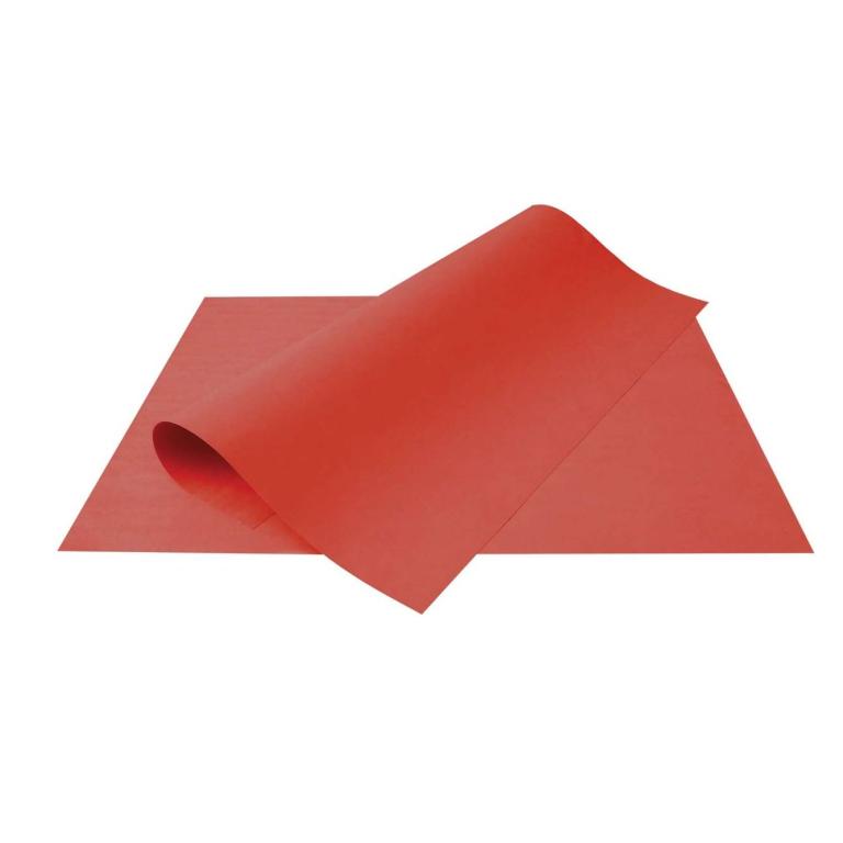 CARTOLINA COLOR SET VERME 48X66 PTC 20