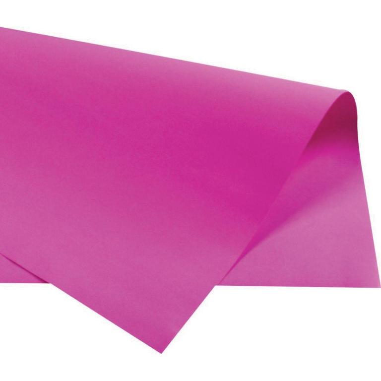 CARTOLINA COLOR SET PINK 48x66 PTC 20