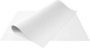 CARTOLINA COMUM 50X66 BRANCA PTC 100