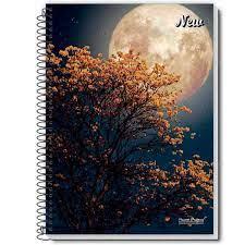 CADERNO CD 10MT UNIVERSITARIIO 200 FLS NEW PCT 3