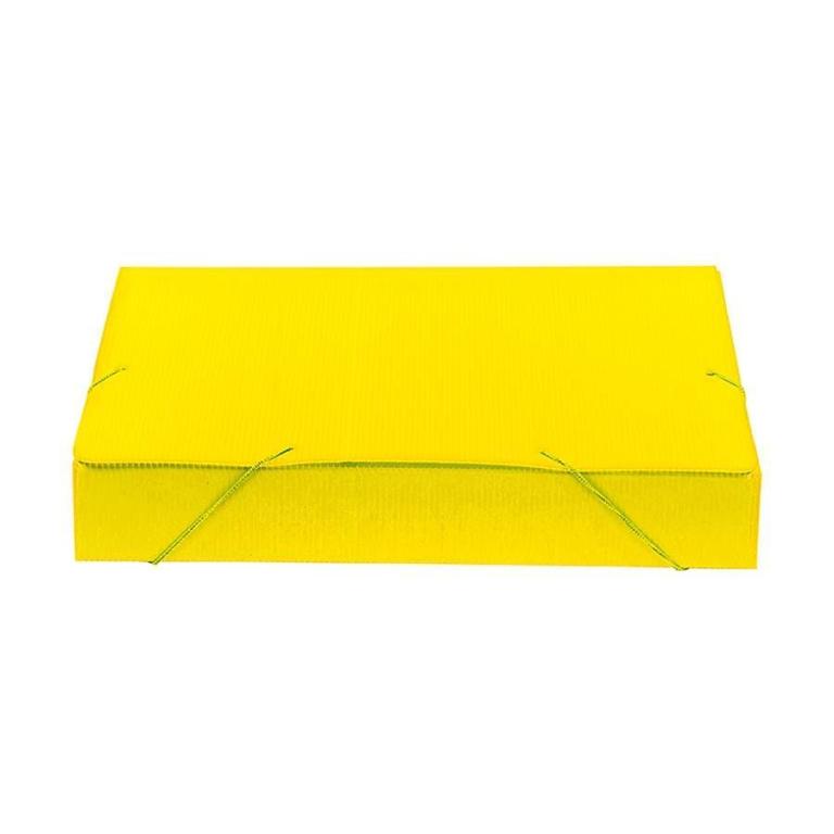 PASTA OFICIO 55MM NOVA ONDA AMARELA PTC 10