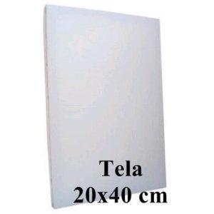 TELA PINTURA SOUZA 20x40cm UNI