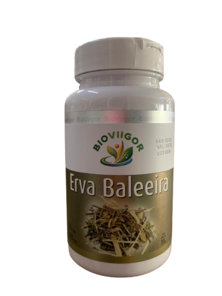 Erva baleeira 60cps 500mg Bioviigor