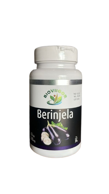 Berinjela 500mg 60cps, Bioviigor.