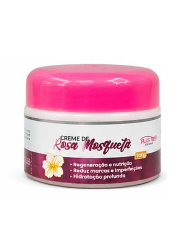Creme de rosa mosqueta 100g Plus Mel