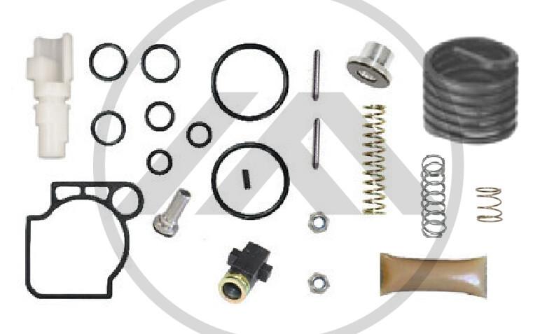 JG REP VALVULA MANETIM