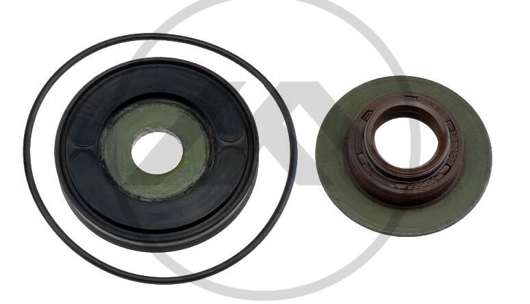 JG REP TRANSFERENCIA CAMBIO