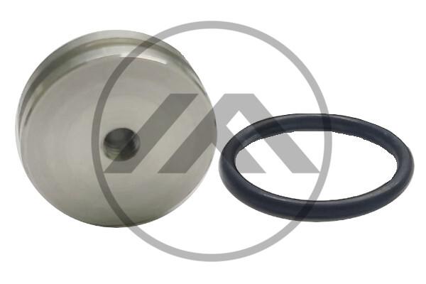 TAMPAO DA VALVULA 6 VIAS APU