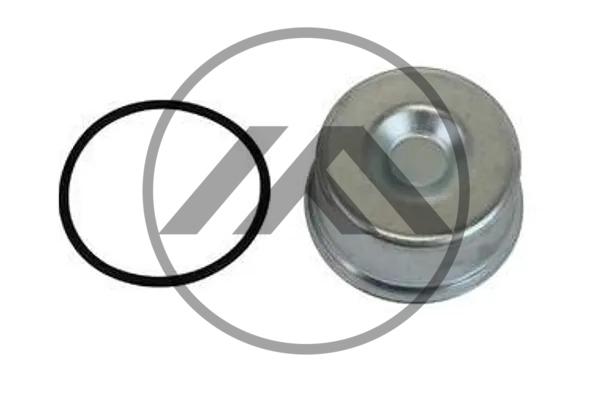 PROTETOR E ANEL PINÇA DE FREIO