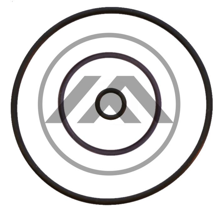 JG REP VEDAÇÃO CAMBIO TAMPA TRASEIRA