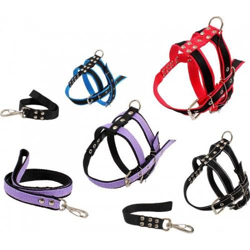 CONJ GUIA E PEITORAL GD PORTE GG