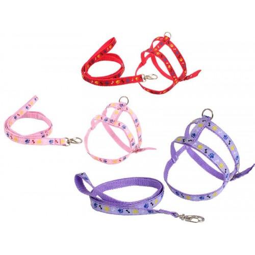 CONJ GUIA PEITORAL DECORADO N 1